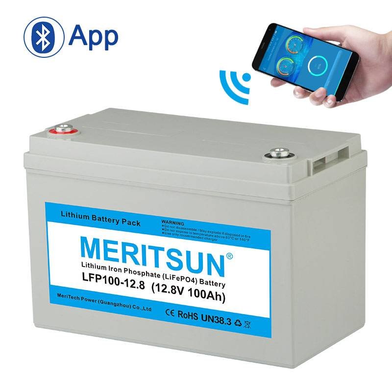 deep cycle gel battery 5 Best Battery Testers Review 2019